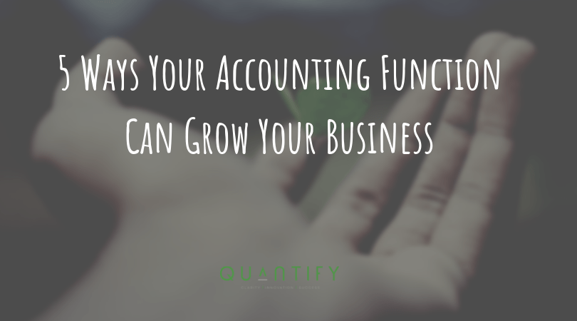 5 Ways Your Accounting Function Can Grow Your Business - (1)