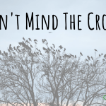 Don't Mind The Crows
